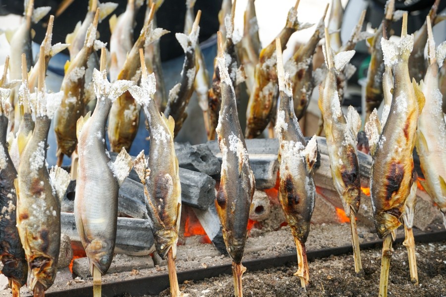 Discover Tokyo Through Its Street Food