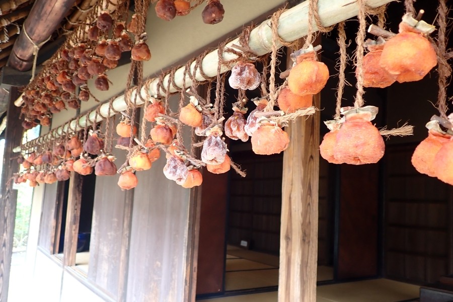 Traditional Japanese Fruits – A Taste of Seasonality and Craftsmanship