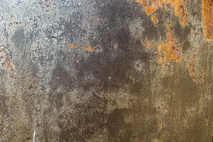 What Is Sabi of Wabisabi?